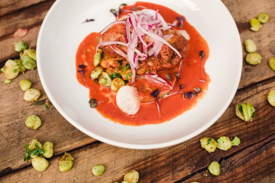 Mayan Cafe signature dishes  Cochinita Pibil (slow-roasted pork), Sikil P’aak (pumpkin seed dip), Tok-Sel Lima Beans, Salbutes (puffy fried tortillas with toppings), seasonal fish preparations.